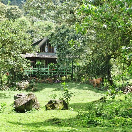 Mindo Eco Chalet Con Rio Y Cascada Екстериор снимка