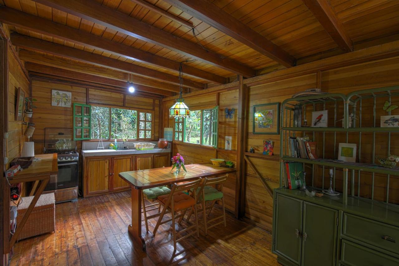 Mindo Eco Chalet Con Rio Y Cascada Екстериор снимка