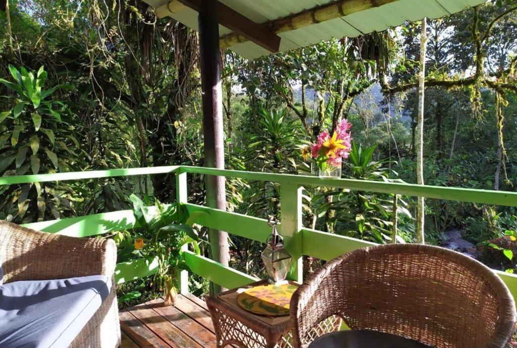 Mindo Eco Chalet Con Rio Y Cascada Екстериор снимка