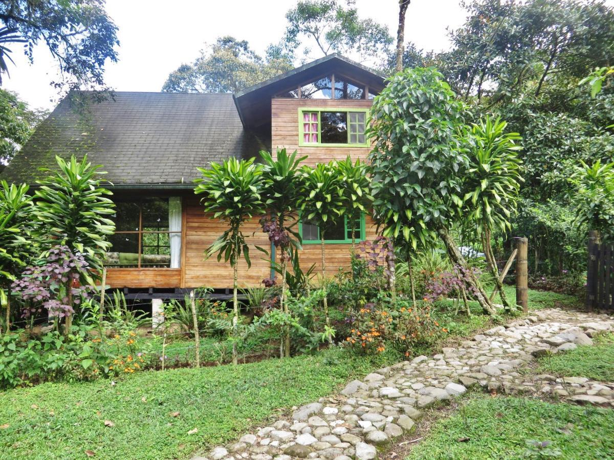Mindo Eco Chalet Con Rio Y Cascada Екстериор снимка